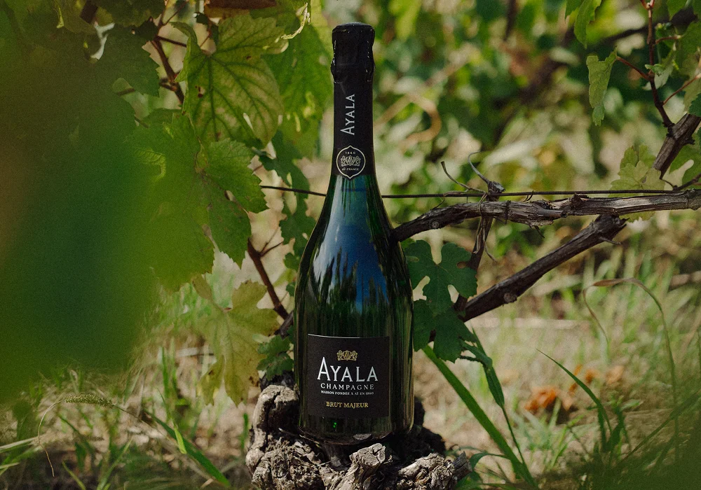 Champagne Ayala