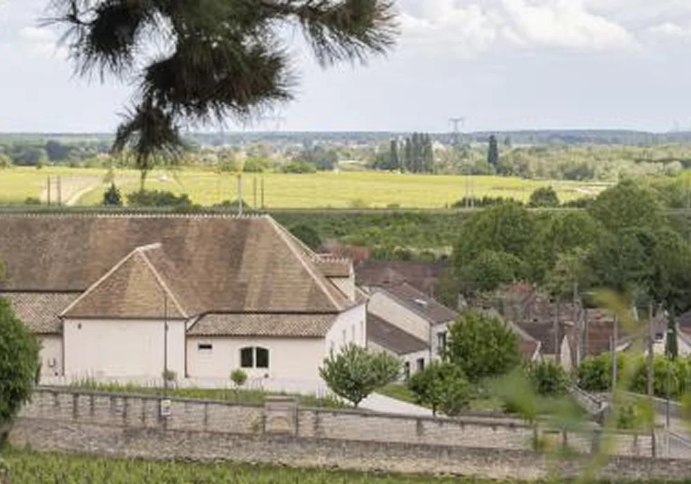 Domaine Patrice Rion