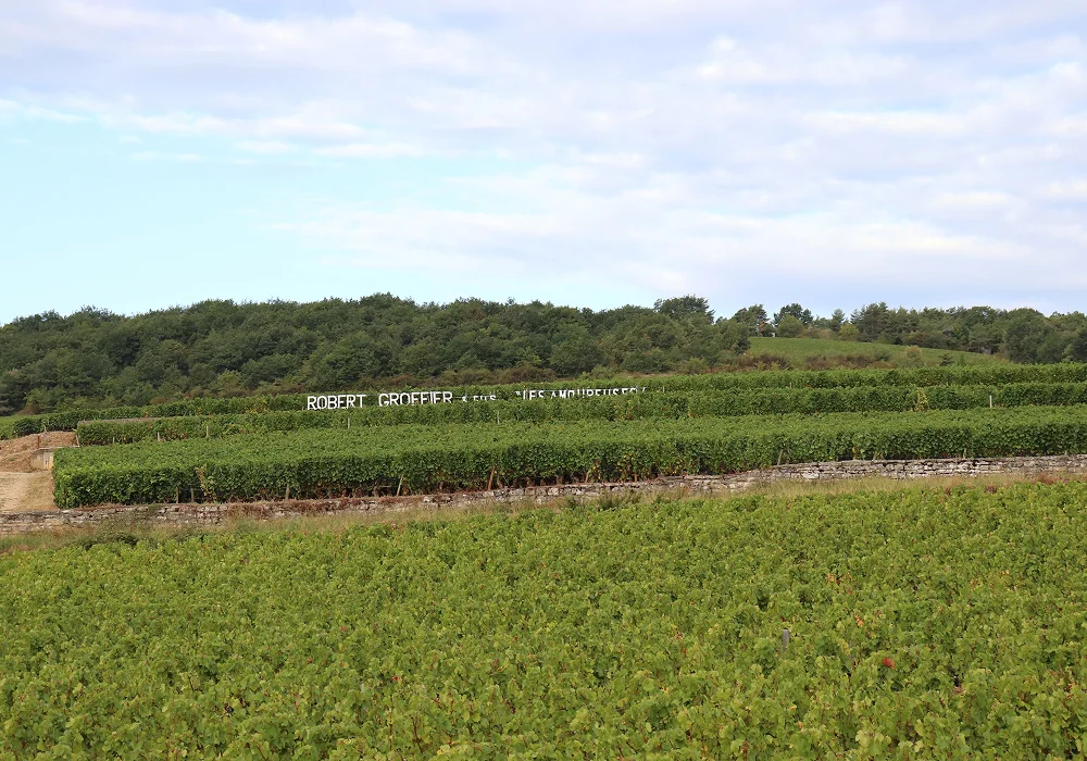 Domaine Robert Groffier Père & Fils