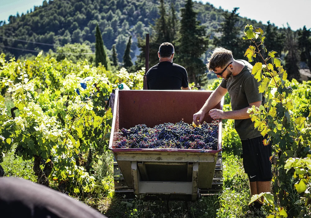 Domaine du Vieux Telegraphe
