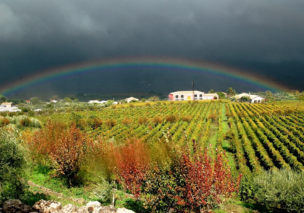 Tenuta Delle Terre Nere