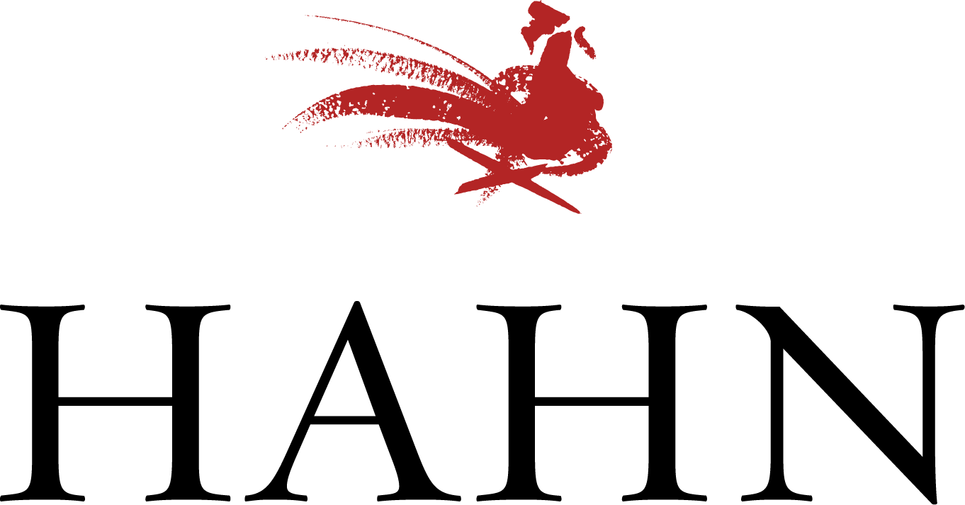 HAHN logo