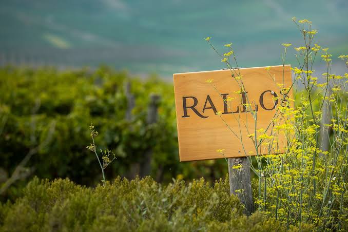 RALLO (1)