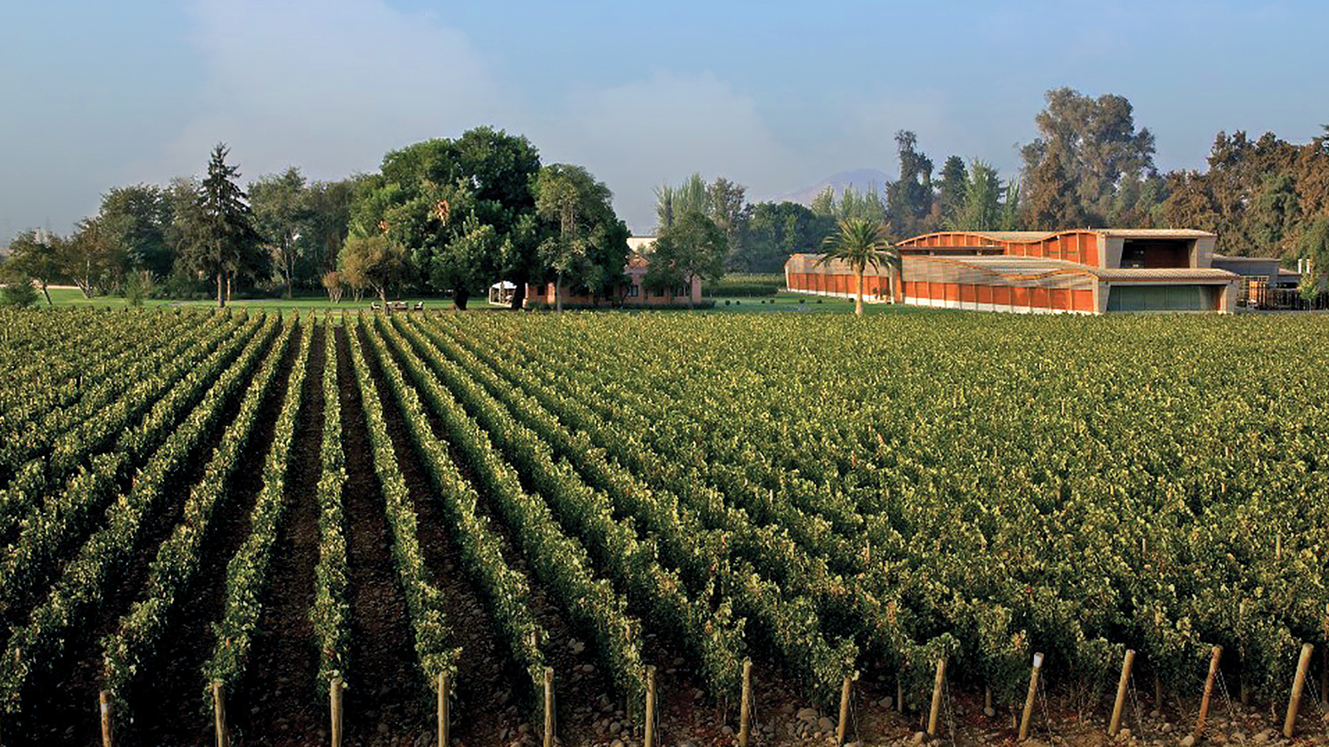 Almaviva Winery